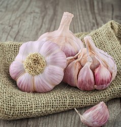 L'ail Rose