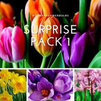 Bloembollen Surprise pack 1
