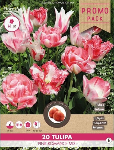 Tulipes Pink Romance Mix