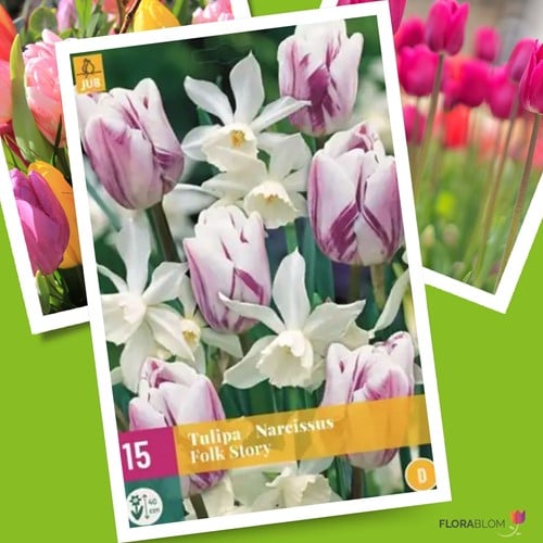 Tulipes & Jonquilles en Mélange Folk Story