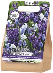 Collection de bulbes Botanical Blue - Botanical Garden