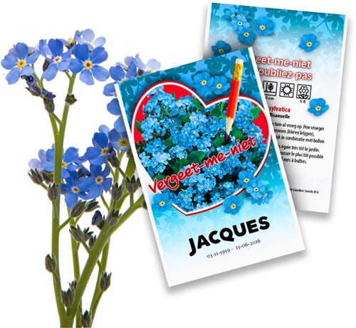 Ne m'oubliez pas - Myosotis Paquets de semences personnalisés - 1.000 pièces