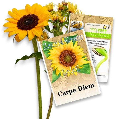 Tournesol Paquets de semences personnalisés - 100 pièces